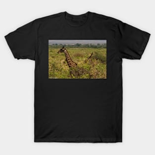 Giraffes in the Trees T-Shirt